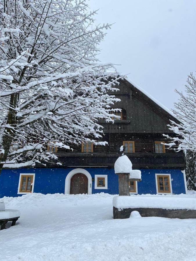 Blue House Daire Ramingstein Dış mekan fotoğraf